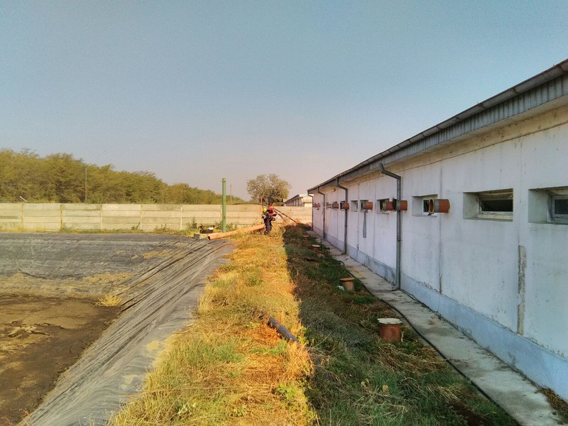 Arhiva foto
