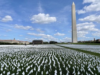 Peste 650.000 de steaguri albe reprezentând viețile pierdute în fața COVID-19 în SUA, la National Mall din Washington | Foto: Hepta