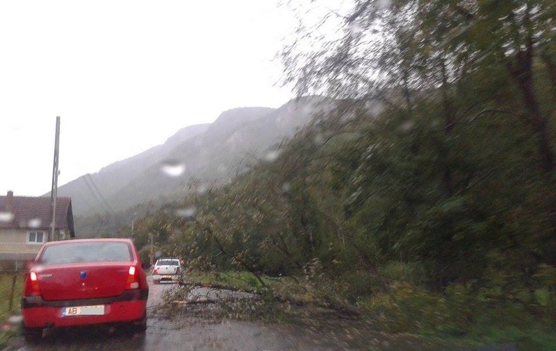 Zeci de turiști, blocați în zona ghețarului de la Scărișoara din cauza furtunii. Drumul e blocat de copacii culcați la pământ