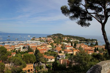 Arhiva foto