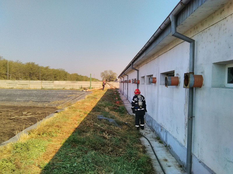 Arhiva foto
