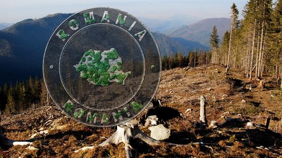 Defrișările din Munții Carpați. Foto Shutterstock