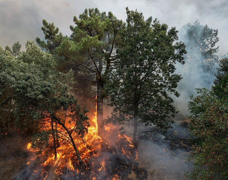 Franța și Spania se confruntă cu cel mai grav val de incendii de vegetație din istoria recentă: 100.000 de hectare de teren au fost făcute scrum