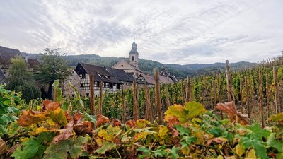 vita-de-vie-riquewihr-franta