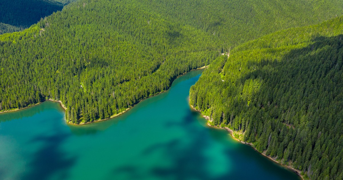 Lacul Bolboci