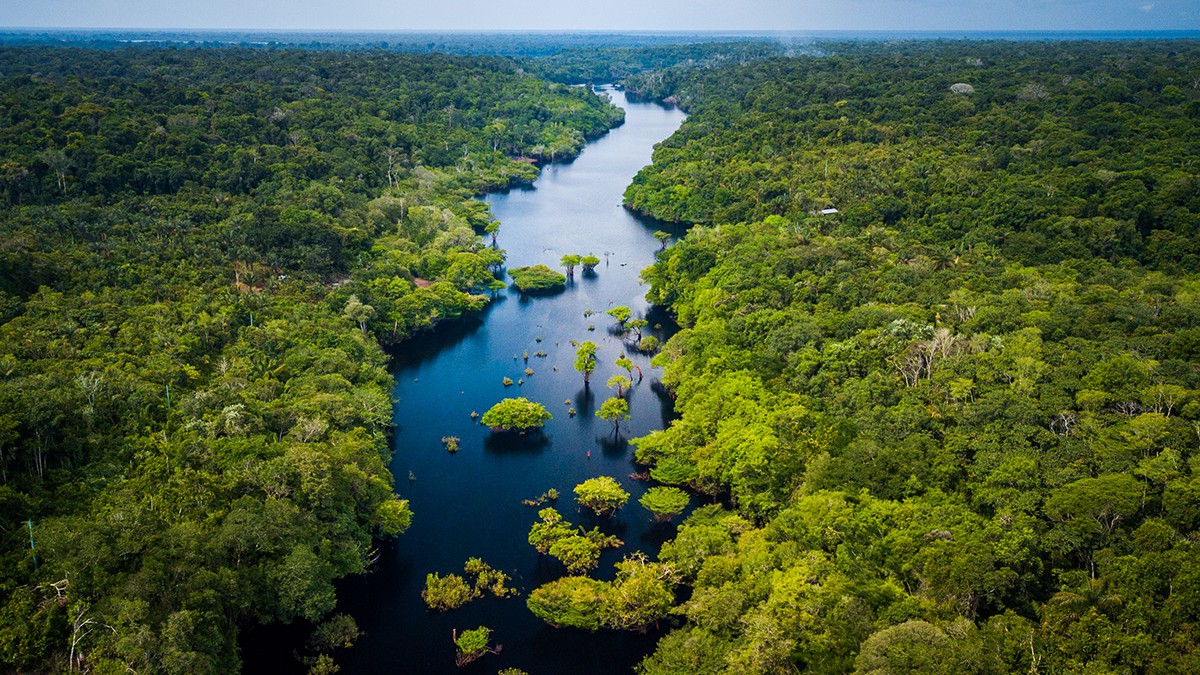 Imagine de ansamblu cu pădurea amazoniană prin mijlocul căreia trece Râul Jamanxim,
