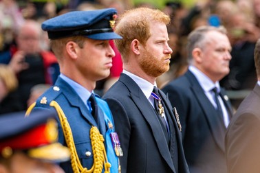 Prințul William și prințul Harry. Foto: Profimedia