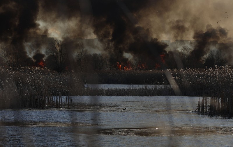 Incendiu puternic în Delta Văcărești. ISU București: Focul a fost provocat
