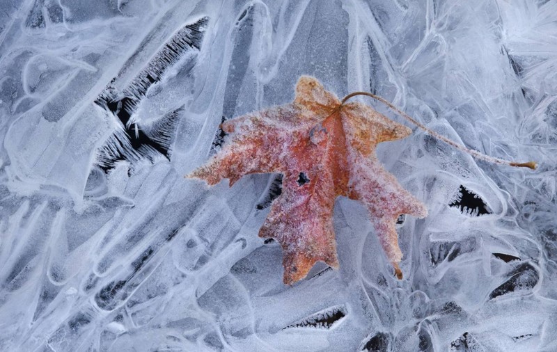 Prognoza meteo. Cum va fi vremea până pe 22 ianuarie 2017