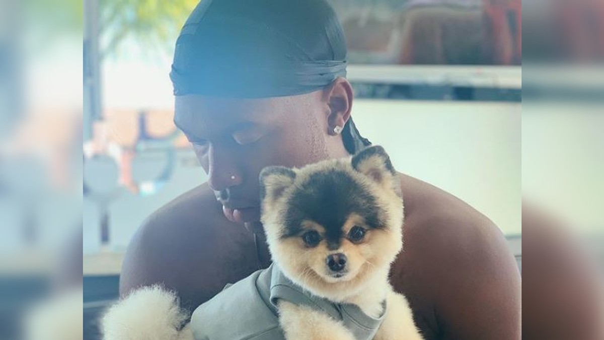 Casa lui Daniel Sturridge a fost spartă