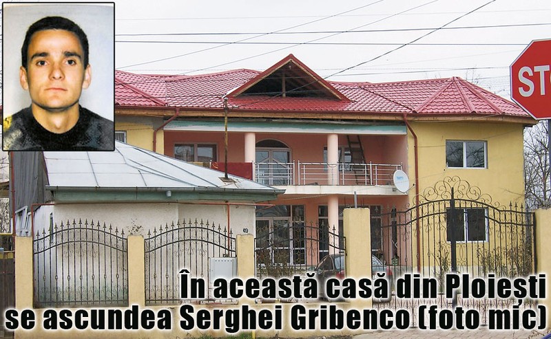 Arhiva foto