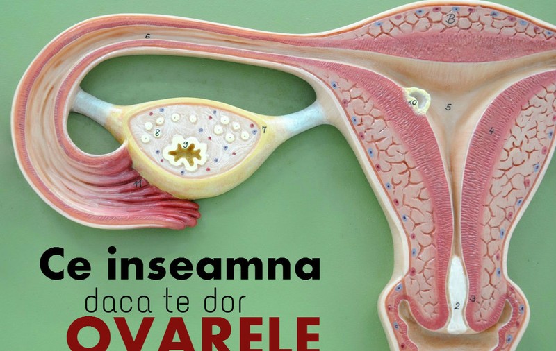 Durerea de ovare - ce înseamnă şi care sunt cauzele