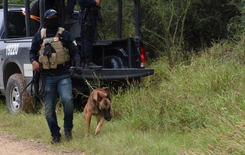 Cel puțin 15 persoane au murit într-o serie de atacuri armate în orașul mexican Reynosa