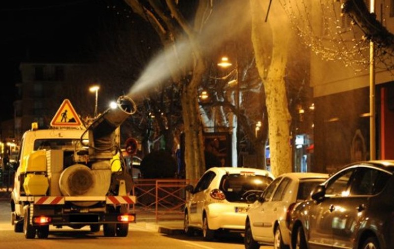 EXCLUSIV/Dosarul "Tigrul de platan", micul monstru care ne poate îmbolnăvi. Toată Europa se chinuie să scape de copacul care atrage insecta, noi îl plantăm abuziv