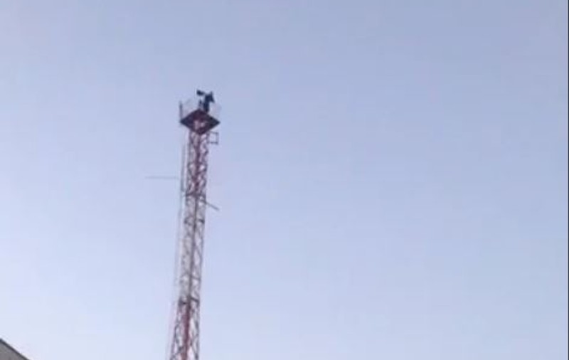 VIDEO| Un bărbat din Brăila a amenințat că se aruncă de pe o antenă. Totul a fost transmis în direct pe Facebook