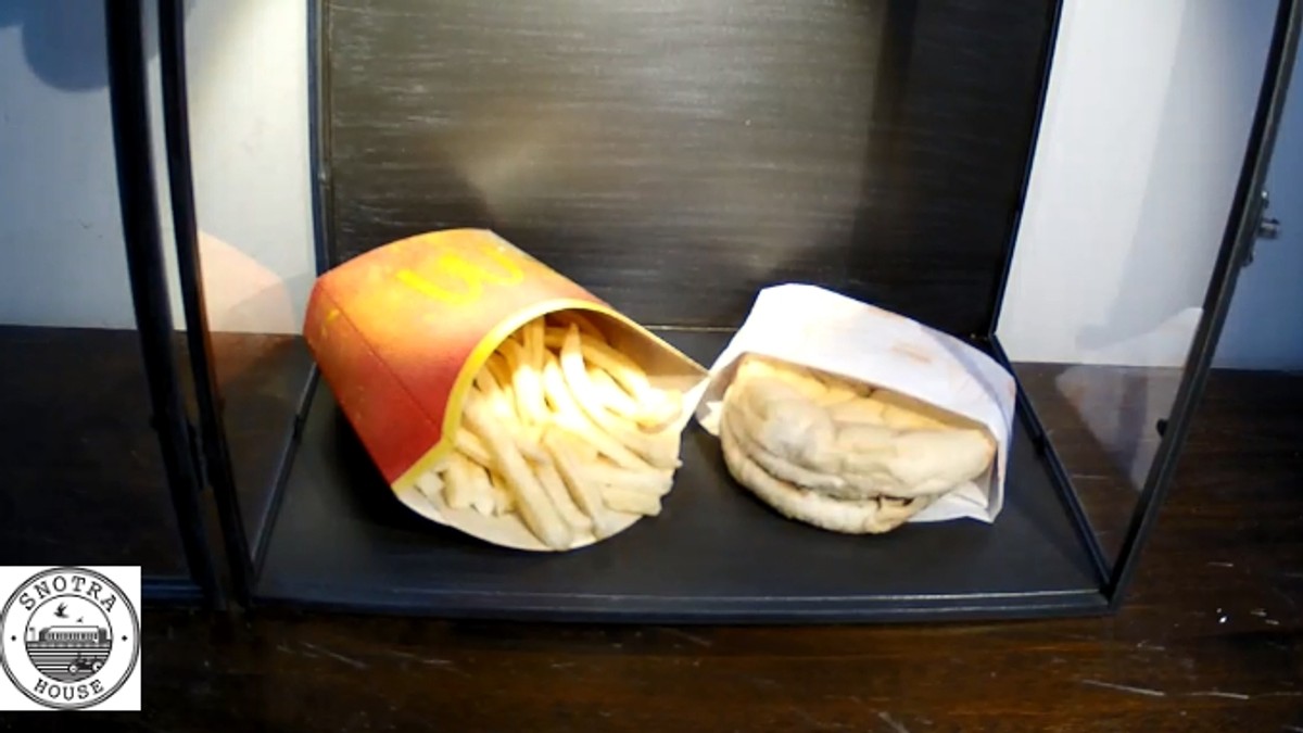 A ținut un cheeseburger și cartofi de la McDonalds timp de zece ani! „Am auzit că nu se strică niciodată și am vrut să verific dacă e așa!”. Cum arată acum produsele