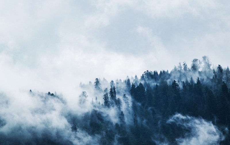 O iarnă cu fenomene extreme ne așteaptă, iar vremea anormală din octombrie prevestește modificările climatice. Explicațiile unui meteorolog ANM