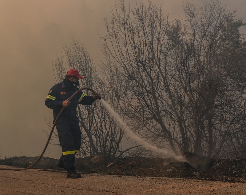 Evacuări în insula Evia din Grecia, din cauza incendiilor de pădure. 250 de pompieri şi 62 de autospeciale, în lupta cu flăcările