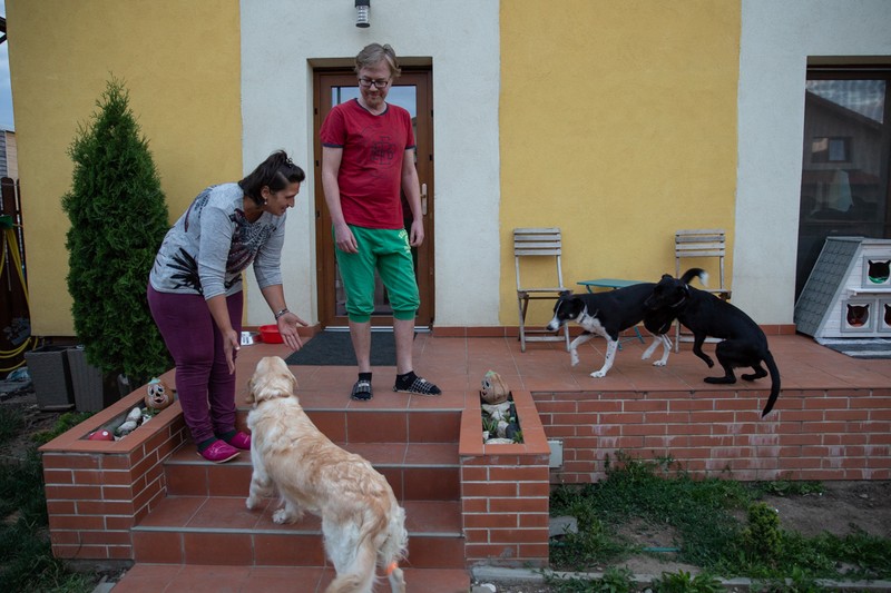Soții împreună cu 3 dintre cei 4 câini rămași: Freya, Nicoleta și Kira