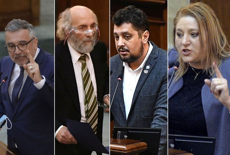 Lucian Romașcanu (PSD), Mircea Dăneasa și Claudiu Târziu (AUR) și Diana Șoșoacă (neafiliat, după excluderea din AUR)