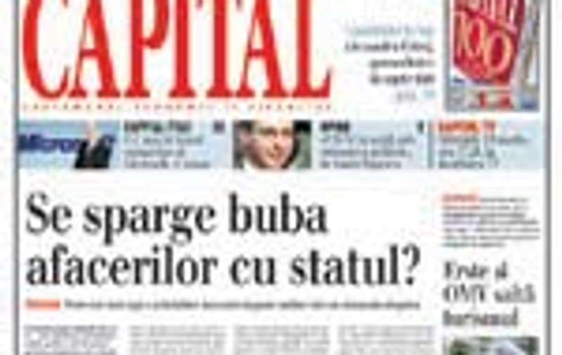 Cumparaturile statului, sub lupa