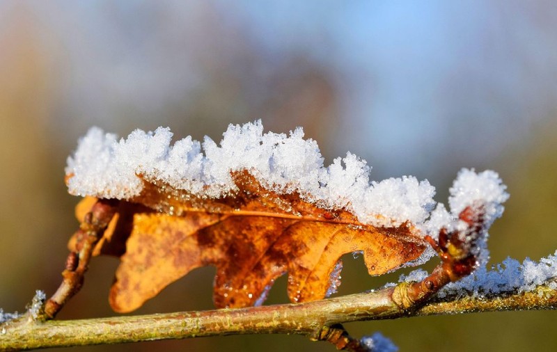 Temperaturi neobișnuite în România, la final de ianuarie. Prognoza meteo ANM pe regiuni până pe 8 februarie