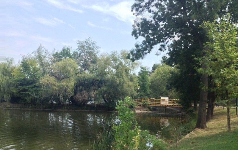 DECIZIE DE ULTIMĂ ORĂ în cazul Parcului BORDEI