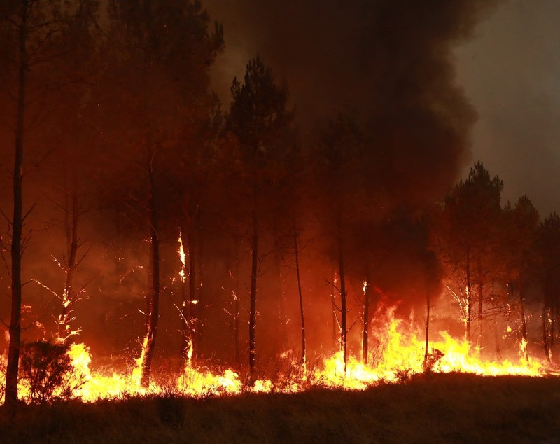 Incendii devastatoare în sudul Europei: Situația din Spania, Franța și Italia. Mii de oameni au fost evacuați, iar în Gironde a apărut un „nor de foc”