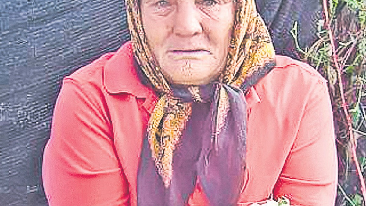 Arhiva foto