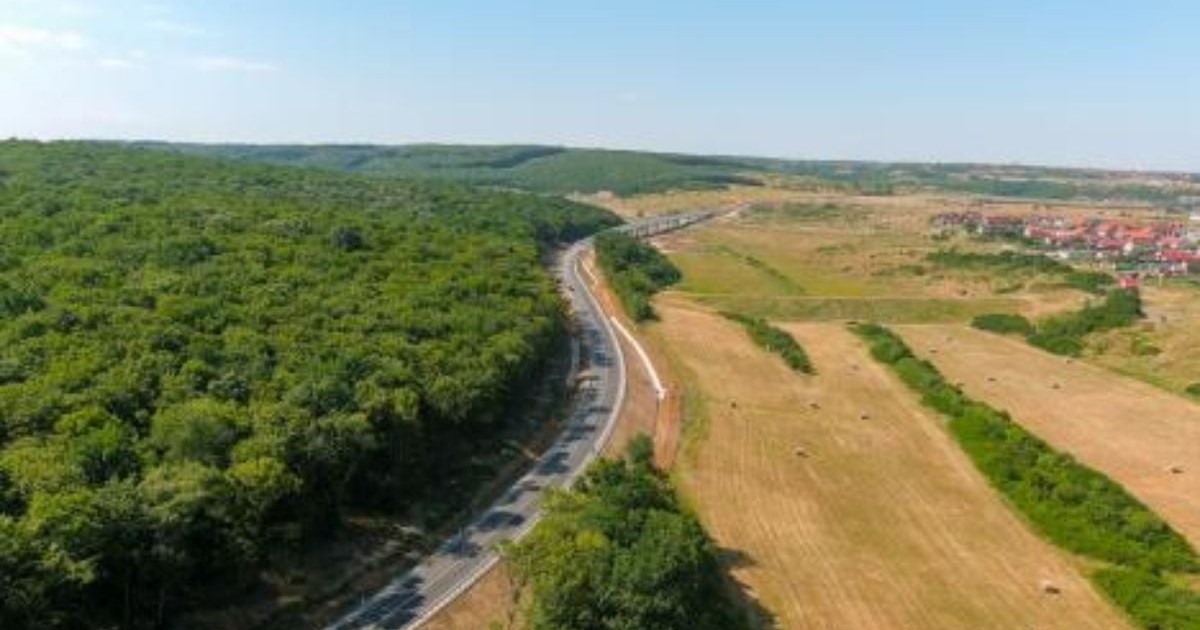 Inelul rutier metropolitan Oradea văzut de sus. La stânga drumului gol este o pădure verde, deasă, iar la dreapta sunt terenuri agricole galbene