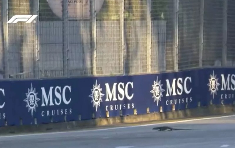 FOTO. Apariție bizară pe pista de Formula 1, la Singapore: "Poate că Godzilla a avut un pui"