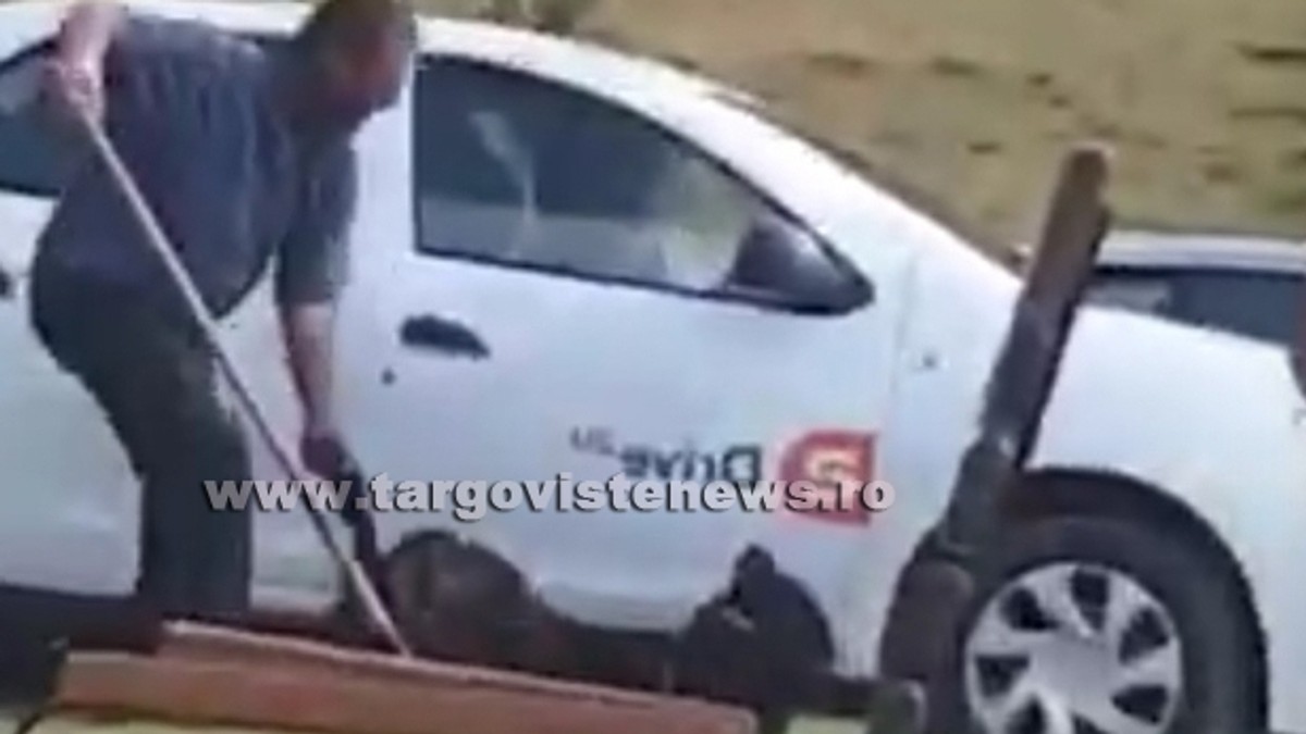 Imagini șocante la Padina. Un cioban și-a maltratat câinele de față cu turiștii