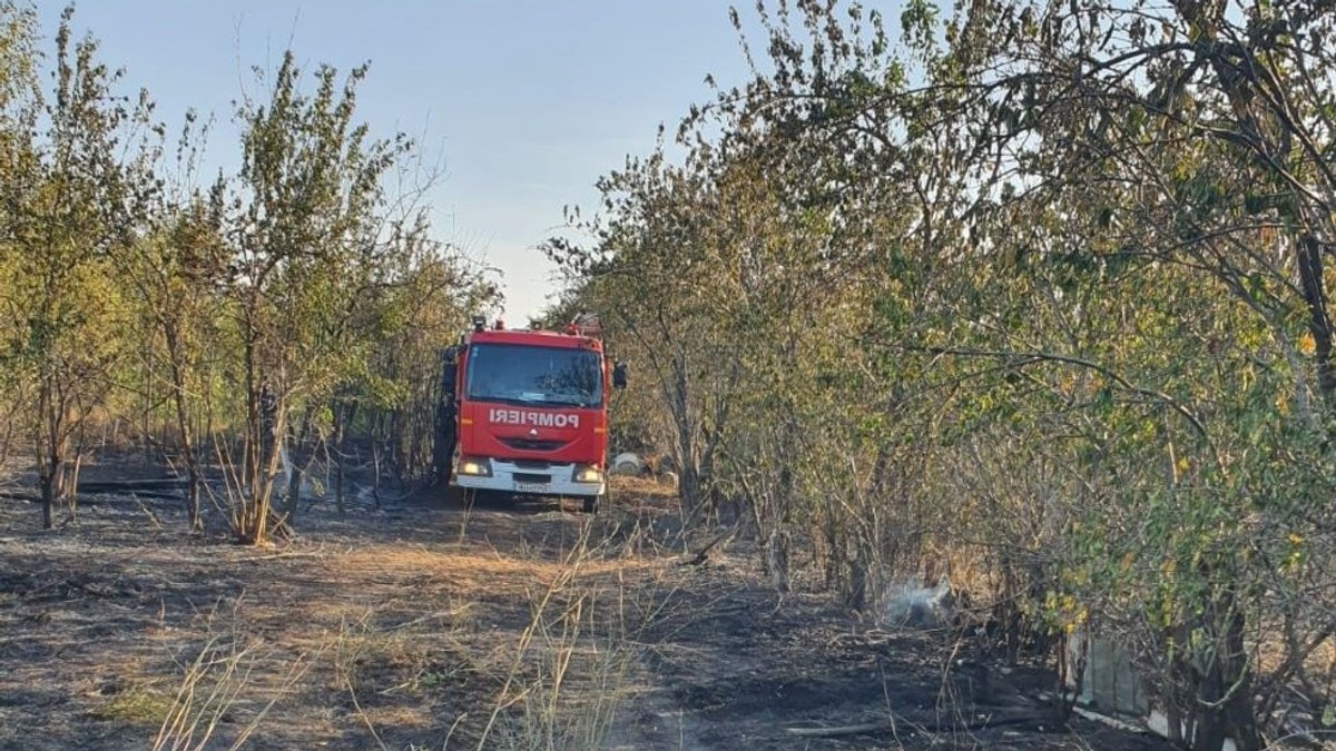 Arhiva foto