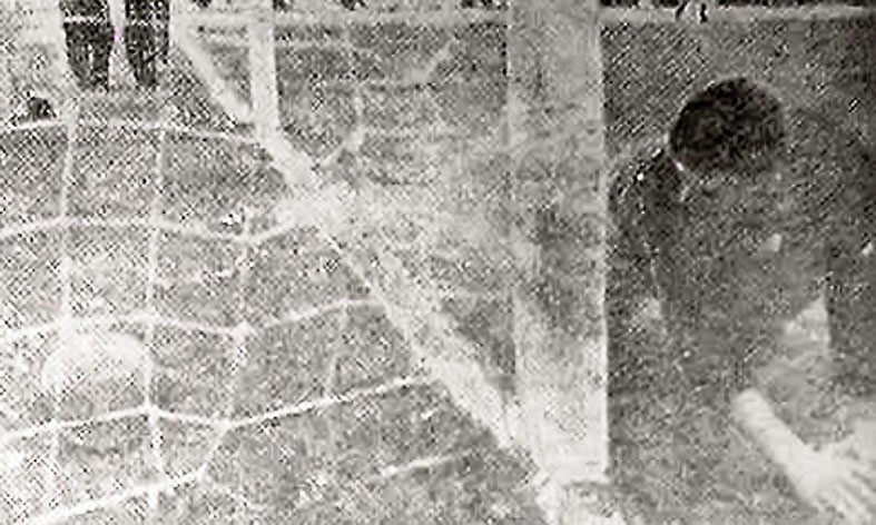 Arhiva foto