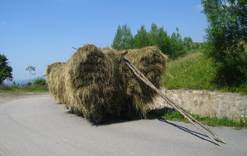 O bătrână a murit după ce a căzut de pe o căruță cu fân!