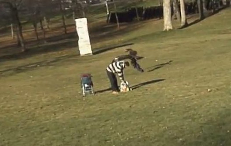 Filmul cu VULTURUL care a înşfăcat un copil este O FARSĂ! Vezi cine a făcut înregistrarea! | VIDEO