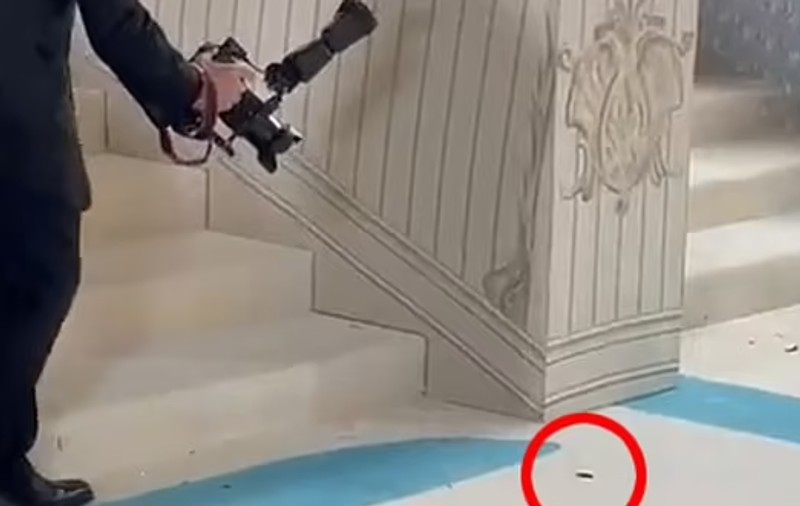 Un gândac „a furat” spectacolul la Met Gala de la New York: „A plătit biletul de 50.000 de dolari?”