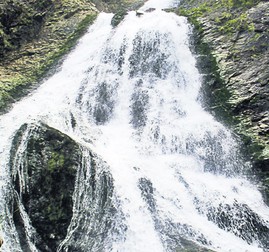 Arhiva foto