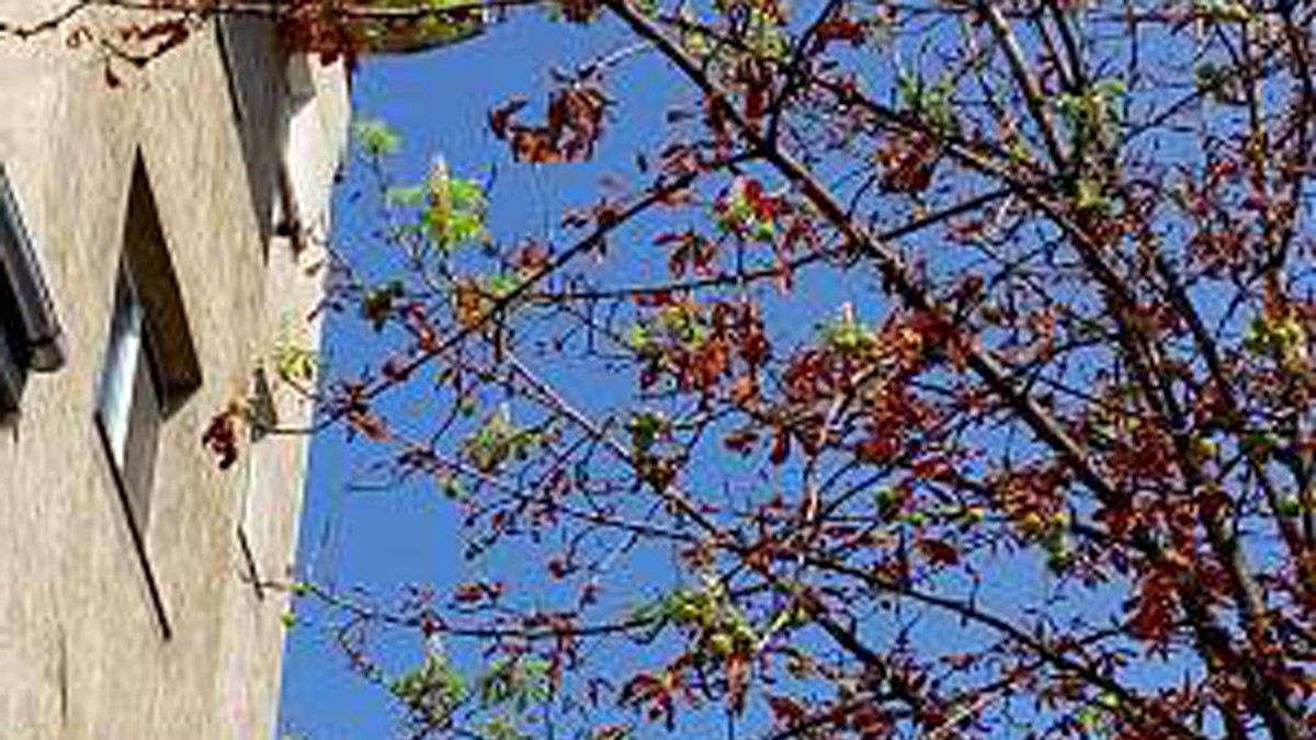 Arhiva foto