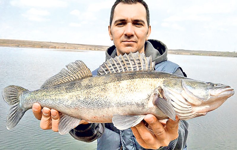 PESCUIT SPORTIV | Lacul Frăsinet-Valea Argovei, locul unde şalăul e rege