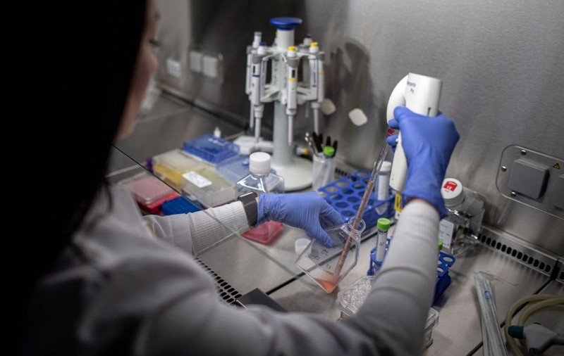 Descoperire revoluționară făcută de oamenii de știință. Proteina BCL-2 poate fi „cheia” în tratamentul pentru cancerul de prostată