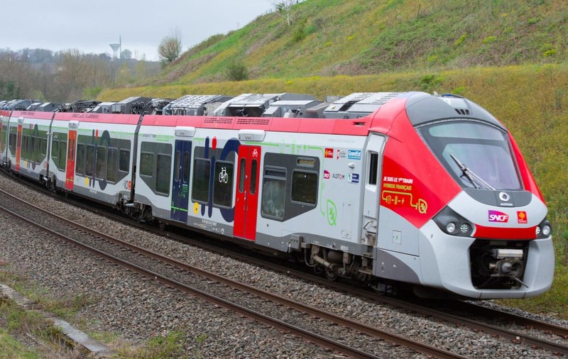 O călătoare, amendată de SNCF cu 110 euro pentru că pisica ei a mieunat prea tare în TGV Paris - Vannes