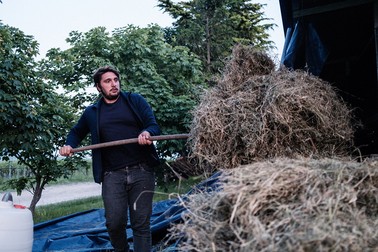Robert pregătește fân pentru cai, La Collina dei Ciliegi, comuna Grezzana, Italia, iunie 2021