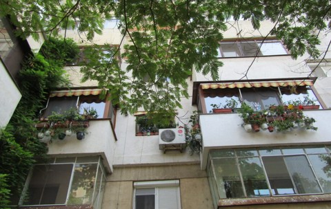 Balcoanele cu flori la blocul din Brăila