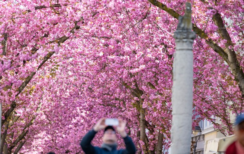 Cum va fi vremea de 1 Mai. Prognoza meteo ANM în perioada 13 aprilie – 10 mai 2026