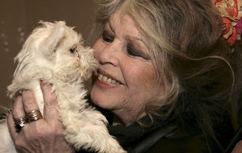 Brigitte Bardot acuză Egiptul de laşitate pentru sacrificarea porcilor