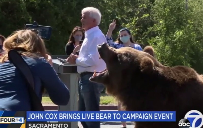 Un candidat la postul de guvernator al Californiei şi-a făcut campanie electorală cu un urs brun