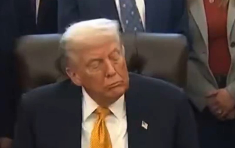 Donald Trump ațipește în Biroul Oval în timpul unei prezentări oficiale, iar o copilă privește mirată scena