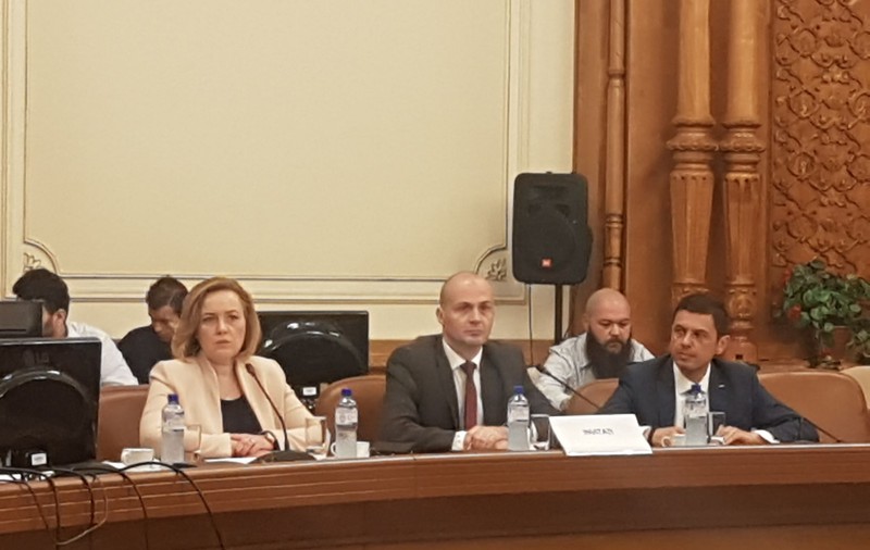 VIDEO | Carmen Dan, audiată în comisia care verifică fraude la alegerile europarlamentare din 26 mai: "Am avut 9289 de notificări, pe parcusul întregii zile de votare, legate de softul STS"
