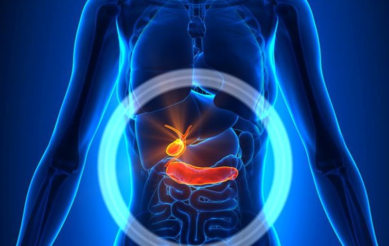 Bolile pancreasului fac ravagii. Vezi dacă riști să faci această boală